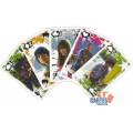 Camp Rock 2 en 1 - Juego de 53 cartas