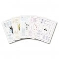 "Joséphine's Divinatory Playing Cards"