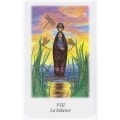 Tarot "VISION QUEST" to zestaw kart tarota, który został stworzony w celu odkrywania głębszych aspektów naszej intuicji i duchow