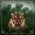 Kartomantie Teppich "CHINESE ASTRO TIGER" - Neopren-Jersey - Quadrat - 80 x 80 cm