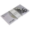 Paket von "25 gefälschten 5€-Noten" - Banknotenimitation aus Papier - beidseitig bedruckt.