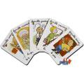 Game of 7 Families: Hobbies - set of 42 laminated cardboard cards - 7 families of 6 cards.