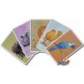 Memory Game: The little game of African Animals - set of 32 laminated cardboard cards - 100 x 65.