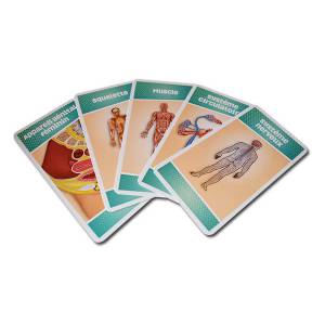 "CARTATOTO RECREATIONAL ACTION! HUMAN BODY" - a game of 44 laminated cardboard cards.