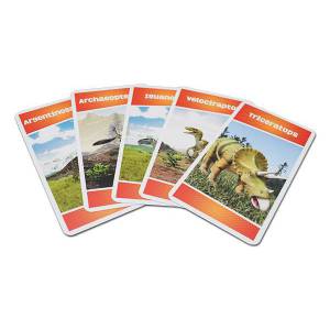 "CARTATOTO RECREATIONAL ACTION! DINOSAURS" - game of 44 laminated cardboard cards.