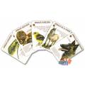 Game of 7 Families: The Animal World - set of 42 laminated cardboard cards - 7 families of 6 cards