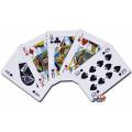 Duo pack NTP Bianco – 2 Jeux de 54 cartes 100% plastique – format poker XL – 4 index standards