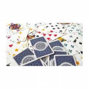 Grimaud Expert Bridge symétrique - jeu de 54 cartes cartonnées plastifiées – 4 couleur – 4 index standards
