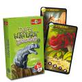 Défis Nature - DINOSAURES 2 - Jeu de 36 cartes - Bioviva